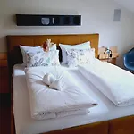 Mansarde Zeder In Privatvilla Im Zentrum Merans Merano