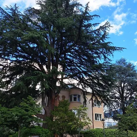 Mansarde Zeder In Privatvilla Im Zentrum Merans