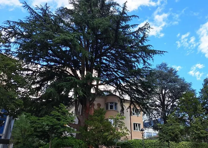 Mansarde Zeder In Privatvilla Im Zentrum Merans